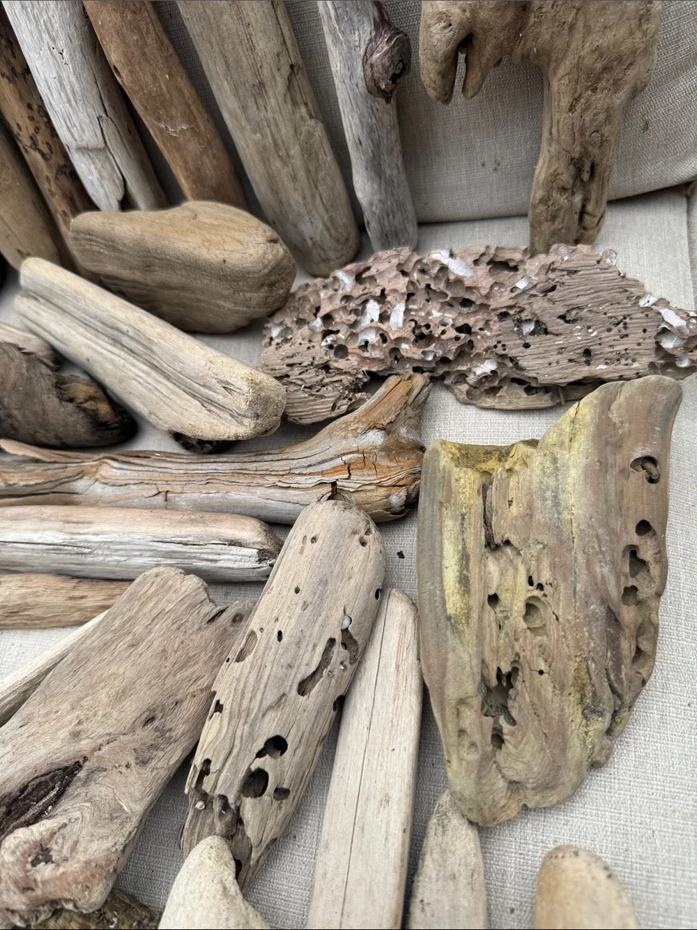 35 pcs (5lbs shipped) Natural Driftwood Pieces for decor, arts, crafts, projects